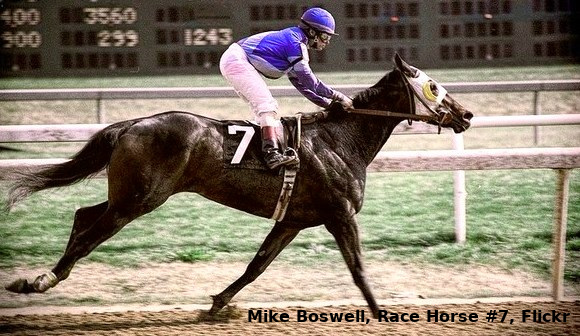 Race horse at finish line